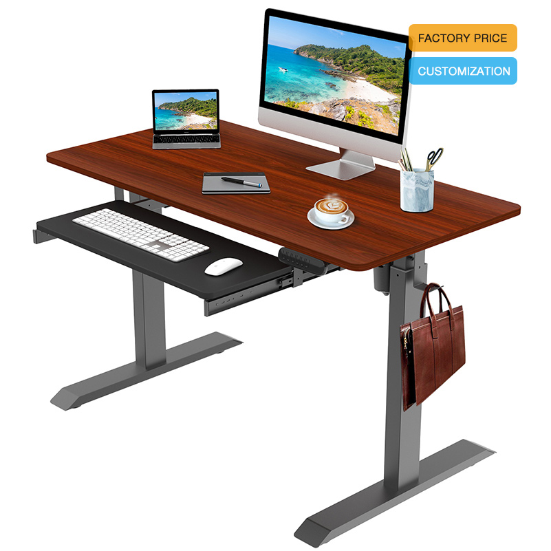 Electric Standing Table Desk